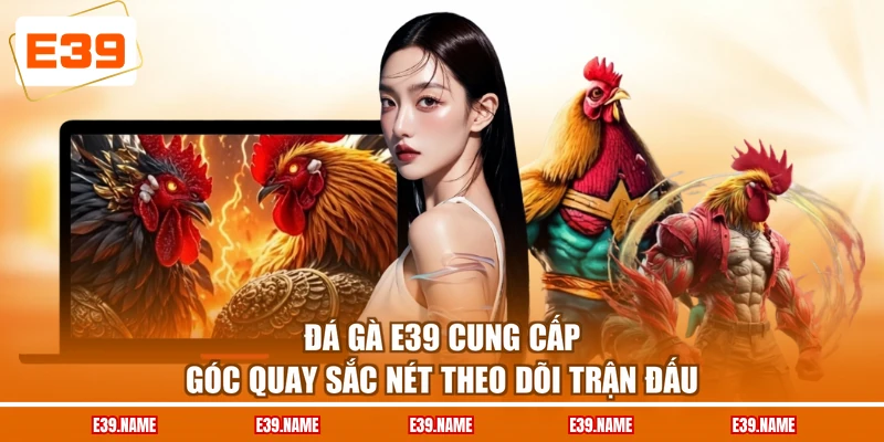 Đá gà E39 cung cấp góc quay sắc nét theo dõi trận đấu