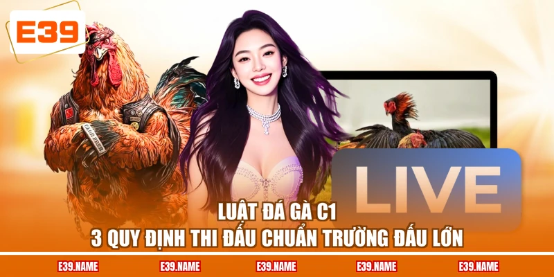 Luật Đá Gà C1 - 3 Quy Định Thi Đấu Chuẩn Trường Đấu Lớn