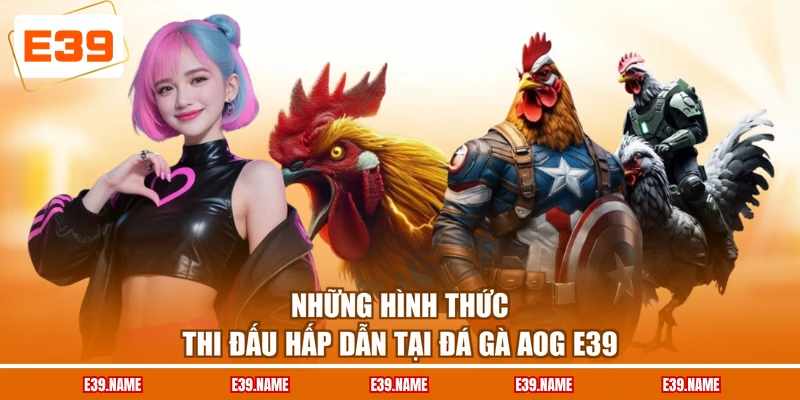 Những hình thức thi đấu hấp dẫn tại đá gà AOG E39